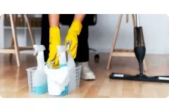 Desvendando o Poder da Limpeza Doméstica